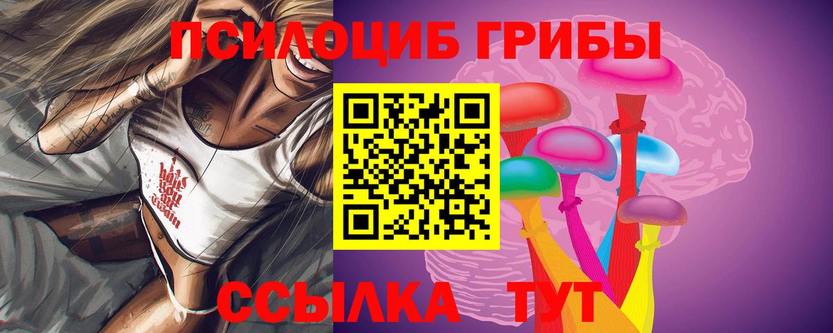 Псилоцибиновые грибы Psilocybe  Вход с VPN  Кимовск 